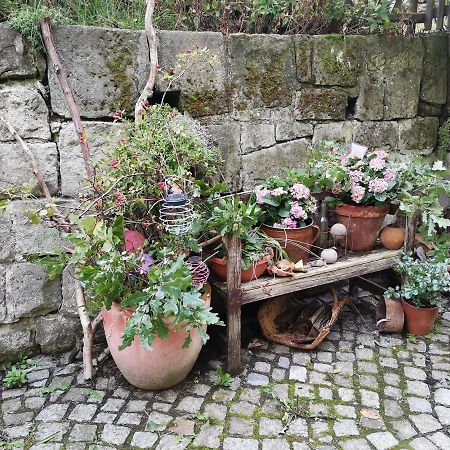 Apartamento Auszeit Freital Exterior foto