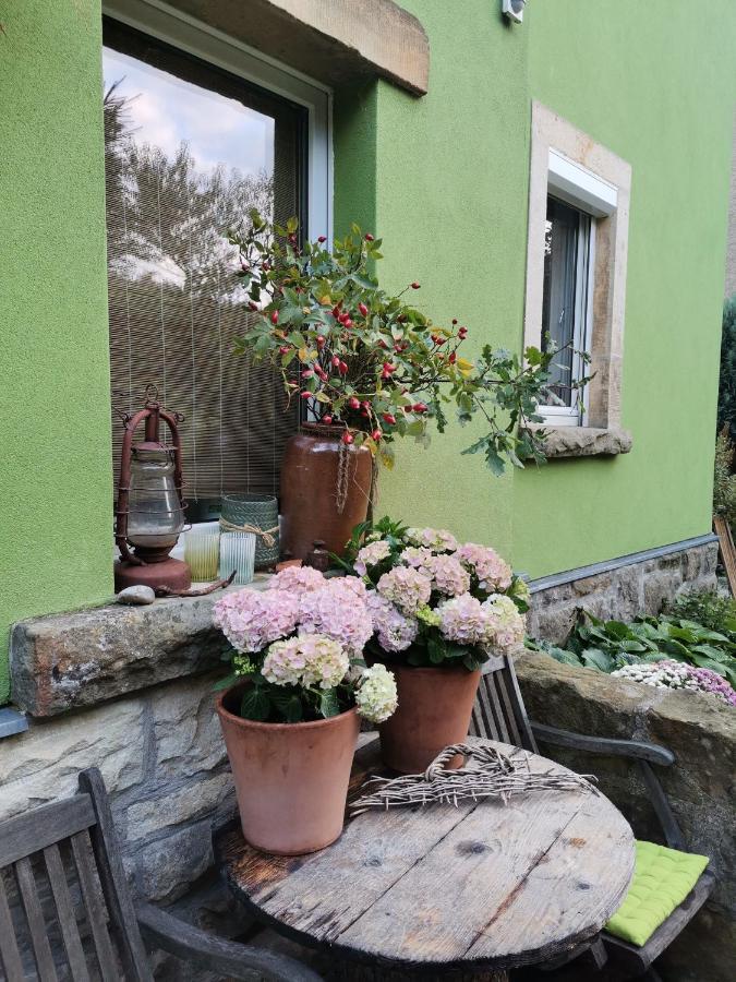 Apartamento Auszeit Freital Exterior foto