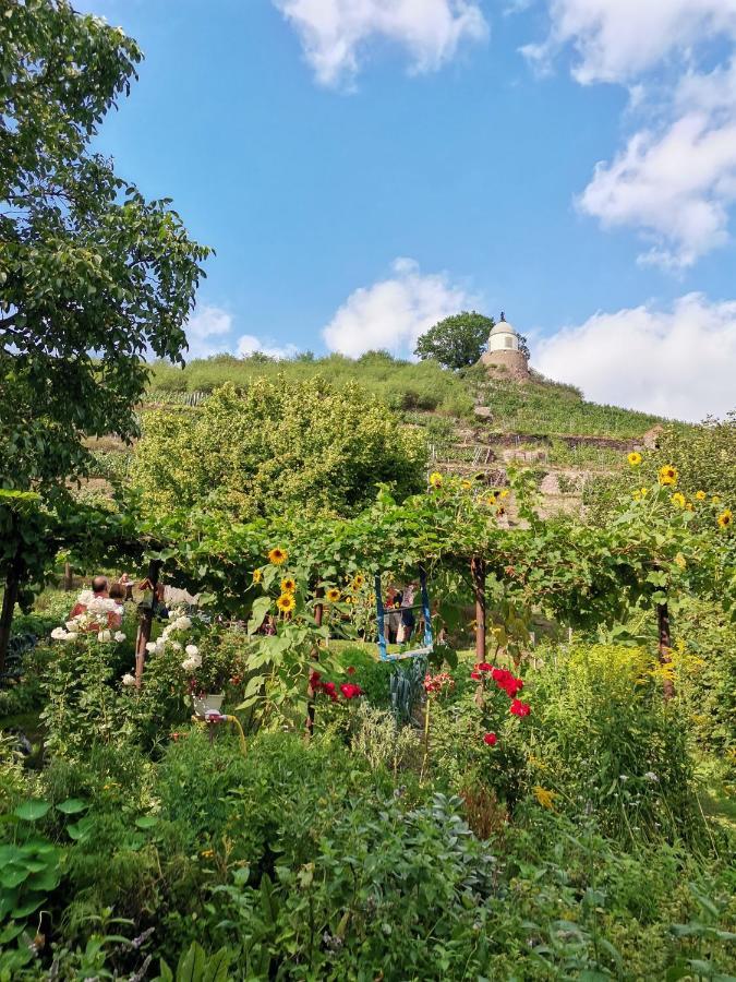 Apartamento Auszeit Freital Exterior foto